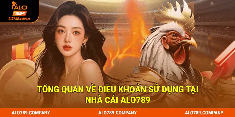 Tổng quan về điều khoản sử dụng tại nhà cái Alo789